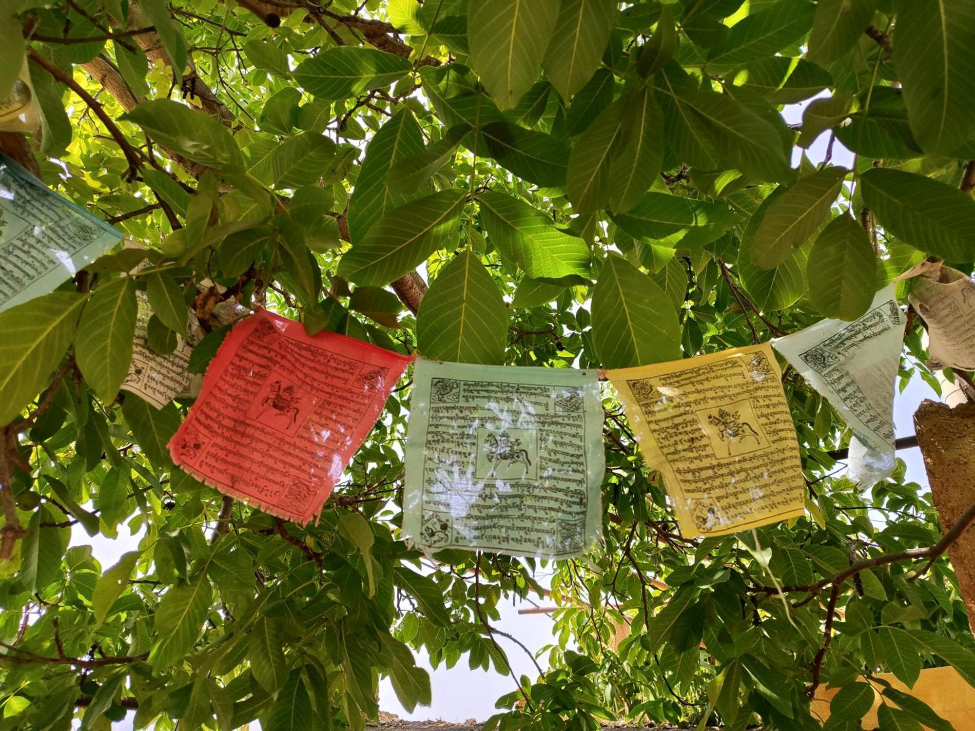Pensjonat La Huerta Del Parral Soportujar Zewnętrze zdjęcie